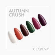 claresa-autumn-crush-6 (1)